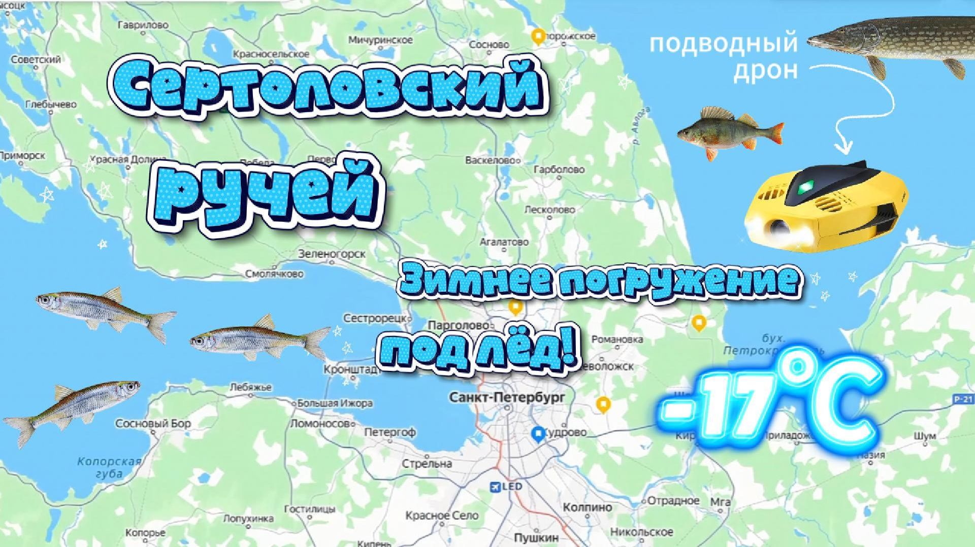 Исследуем Сертоловский ручей: от проруби до подводных загадок — экопутешествие по выбору подписчиков