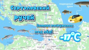 Исследуем Сертоловский ручей: от проруби до подводных загадок — экопутешествие по выбору подписчиков