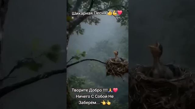 Кто падал тот понял где дно и где край... Автор Л. Макевич #клип #песня #хит #добро #творидобро#жить