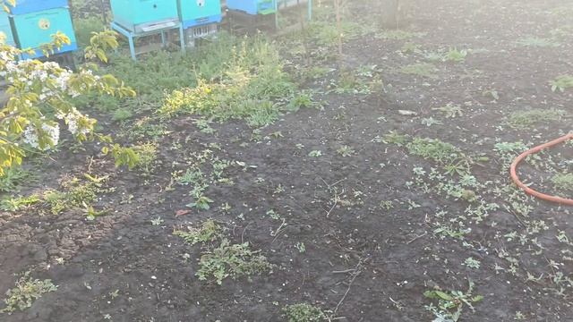 Ожидаем вывоз Пеноулика, Заморозок 23.04.2026 Вентиляция