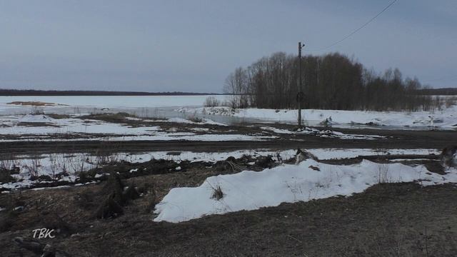 Ледоход на Оби прошёл 16 километров за сутки