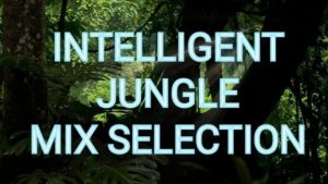 INTELLIGENT JUNGLE MIX by DJCB | Drum & Bass Vibes