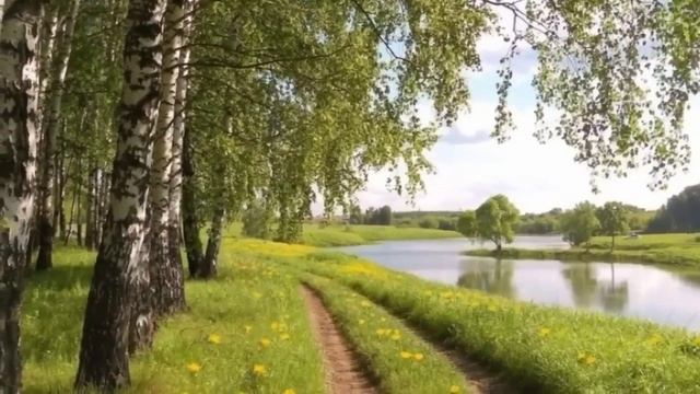 Электромагнитный смог  и рак