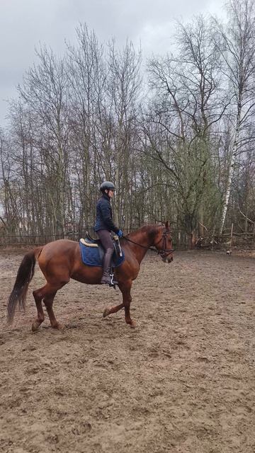 Оксана Новикова и Эмбер Грейс Кас строевая рысь на плацу.