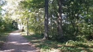 Архив. Оптина Пустынь