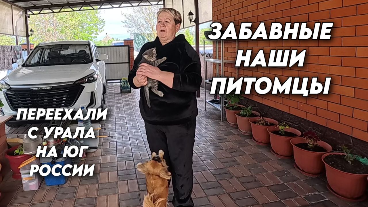 1131 Жизнь семьи на КубаниНовый день новые делаНаш новый житель