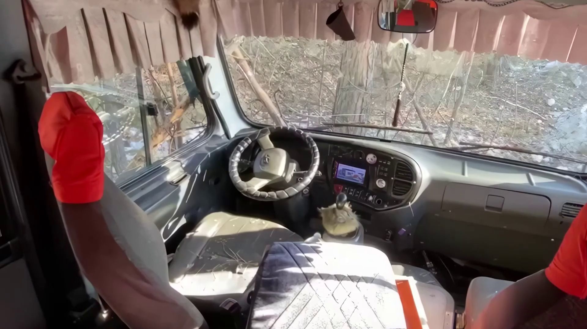 АВТОБУС ВРЕЗАЛСЯ В ДЕРЕВО: ПОСТРАДАЛИ 9 ЧЕЛОВЕК