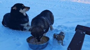Первый выход в люди.