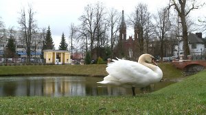 (Рыбинск-40) ВЕСНА В КАРЯКИНСКОМ САДУ