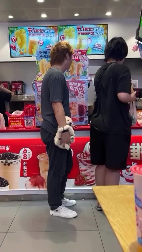 #животные #видео #Милые