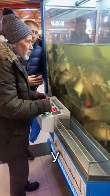 Рыбалка ещё никогда не была такой простой!🎣