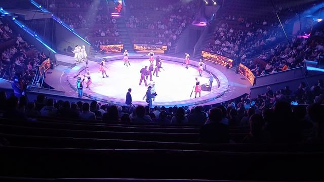 Отличная сказка Белоснежка и семь гномов в Большом Московском Цирке братьев Запашных.