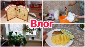 Просто влог// Что готовила//