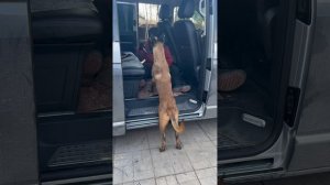 Работа с Рэмбо. День 2