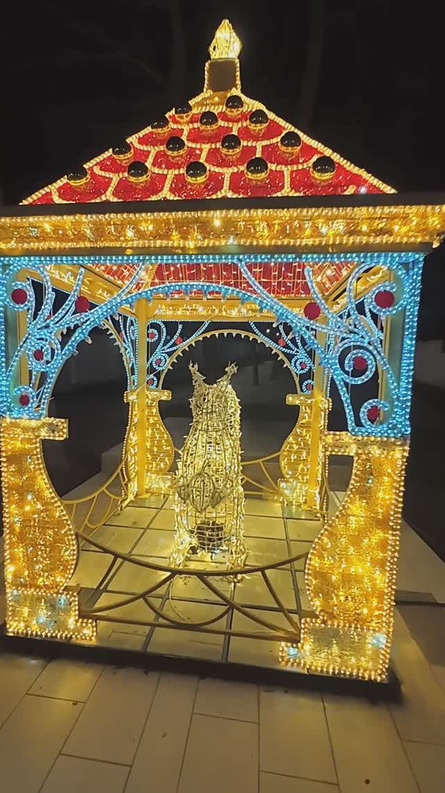 Приехал из Сочи в Геленджик. Тут идут дожди