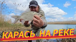 Рыбалка весной карась и немного разного!!!