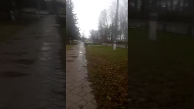 °~Дождливый день , прямой эфир в дождь~°