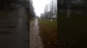 °~Дождливый день , прямой эфир в дождь~°