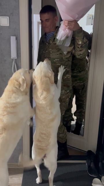 Радость встречи