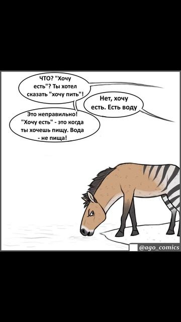 Лютые мемы Волшебная стена