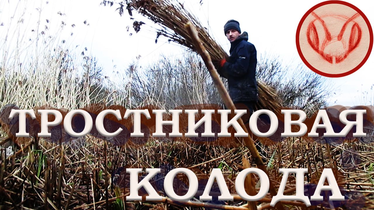 Колоды развешиваю на рои