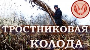 Колоды развешиваю на рои