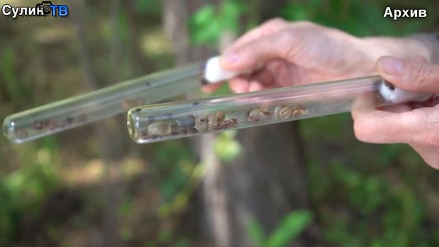 Эпидемиологическая обстановка