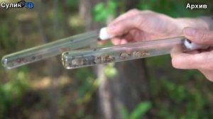 Эпидемиологическая обстановка