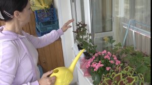 Хроника нескольких дней в моментах в конце апреля 2026 года.