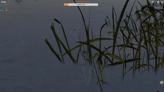 СтримThe Fisher OnlineВремя проведённое на рыбалке в счёт жизни не идётВсем привет!!! 23