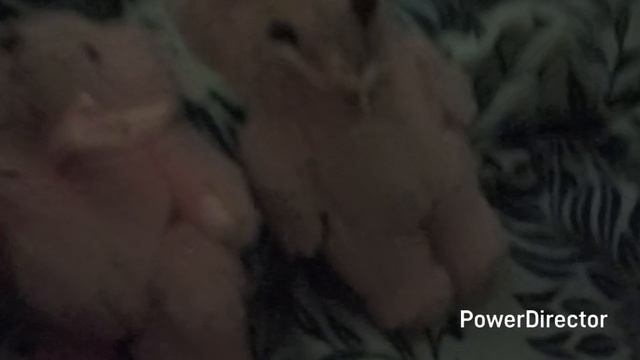 серия 18 розовый мишка или другой