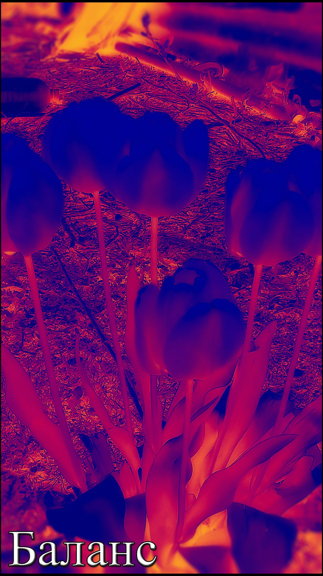 Rossijnin - Баланс