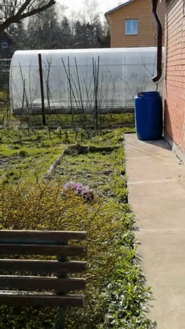 petal_20260423_220341.mp4