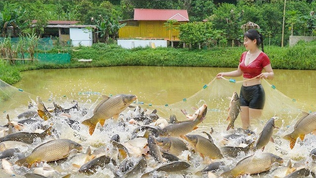 В одиночку сетью наловила богатый улов. Продала в деревне рыбу местным жителям. Нхат. Вьетнам