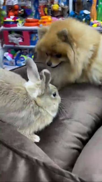 VID_20260423_204223_538.mp4