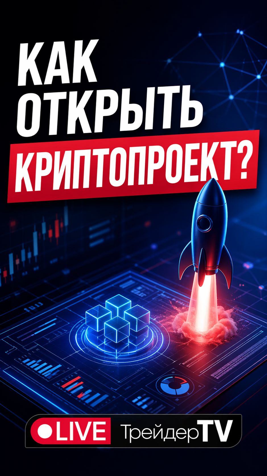 Где открывать криптопроект, чтобы потом не пожалеть