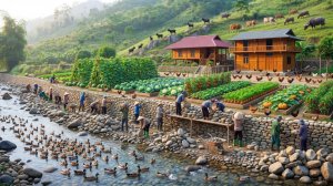 Прекрасный цветочный сад, пруд с рыбами и каменная стена — завершены до начала сезона наводнений.