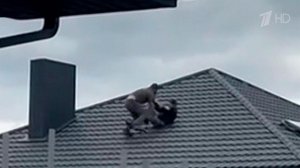 В сети появились новые пугающие кадры украинской принудительной мобилизации.