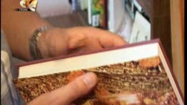 ПРОГРАММА СТС