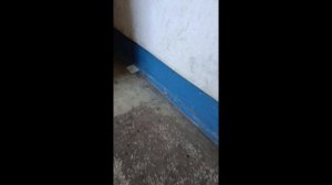 (ЖЕЛЕЗНОГОРСК И АРХИВ 2022!) Лифт ЩЛЗ 2019 года 1/m SEK Г.Железногорск