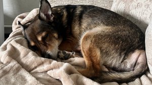 Милая рутина, от которой тепло на душе 🥗🧹