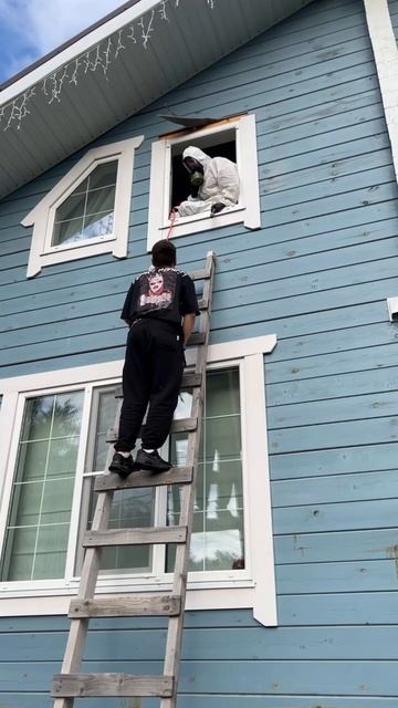 Уничтожение ос в Москве и Московской области