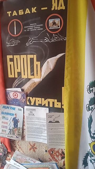 ЗОЖ. БЕРЛИНСКИЙ МАРАФОН