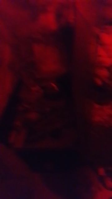 беляки дегу