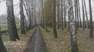 "По раскисшим дорогам и распутице..." велопрогулка к Голубому озеру