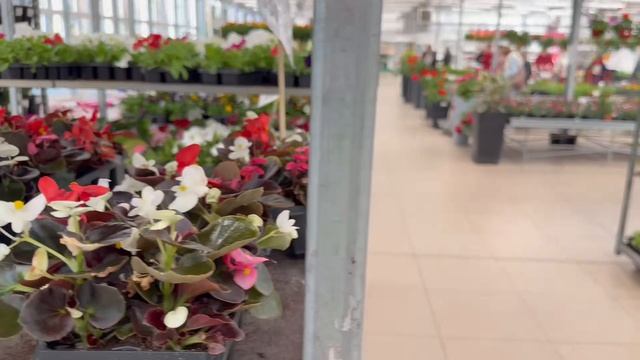 Обзор Измайловского садового центра