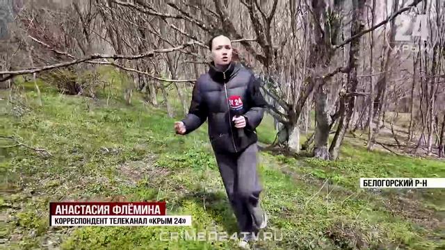 Случайная находка в горах Крыма дала старт проекту по благоустройству труднодоступных памятников ВОВ