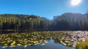 Я УМЕР Но меня ВЕРНУЛИ с того света из-за ГРЯЗНОГО ГАРАЖА Моя история КЛИНИЧЕСКАЯ СМЕРТЬ