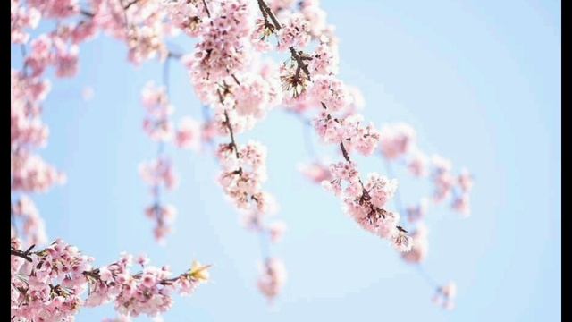 Мантра Хар Сингх Нар Сингх Ниринжан Каур