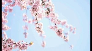 Мантра «Хар Сингх Нар Сингх» (Ниринжан Каур)